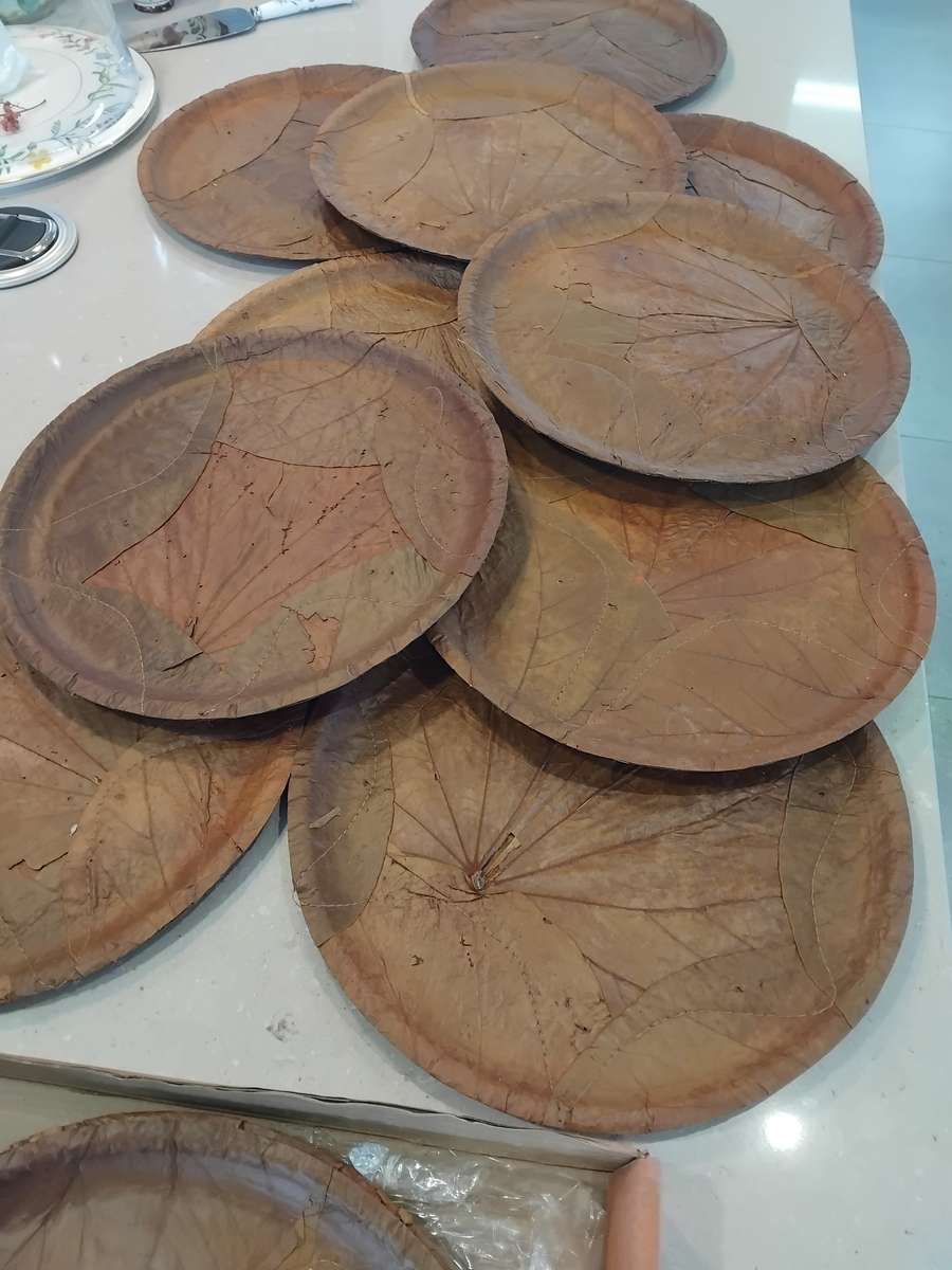 Chic, Unusual Made from 100% SAL & SIALI LEAVES Special 14 Eco Dining Plates made in India. Unused!!