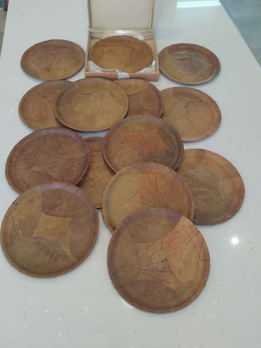 Chic, Unusual Made from 100% SAL & SIALI LEAVES Special 14 Eco Dining Plates made in India. Unused!!