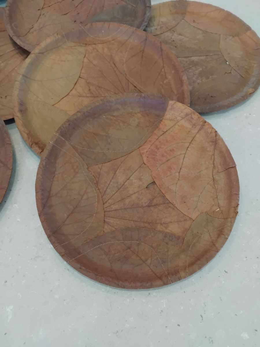 Chic, Unusual Made from 100% SAL & SIALI LEAVES Special 14 Eco Dining Plates made in India. Unused!!