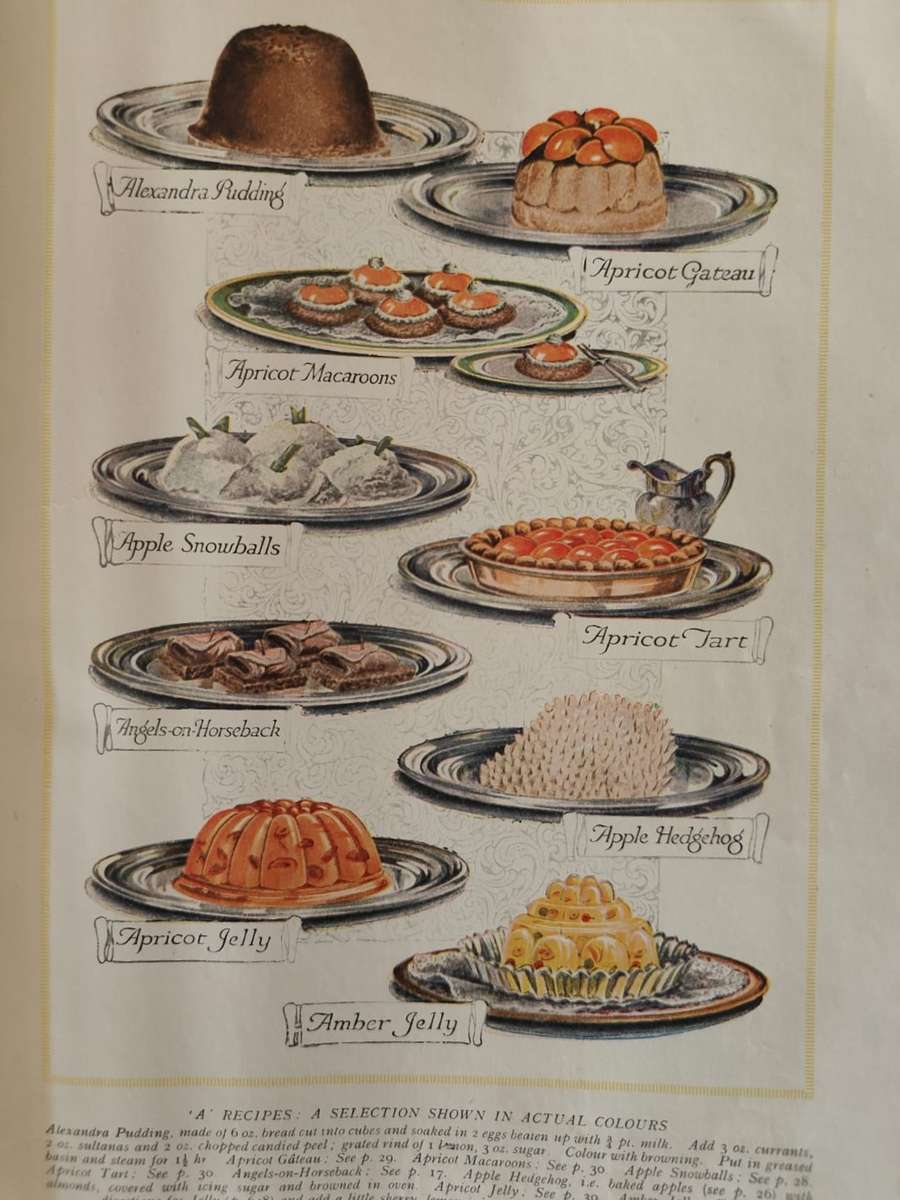 THE CONCISE HOUSEHOLD ENCYCLOPEDIA, 2 volumes.  - PLEASE READ DESCRIPTION.