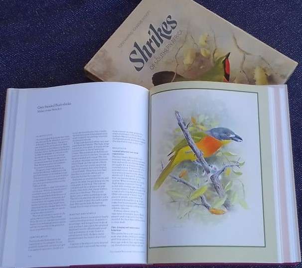 SHRIKES OF SOUTHERN AFRICA, 1988 - 224-page volume. - PLEASE READ DESCRIPTION.