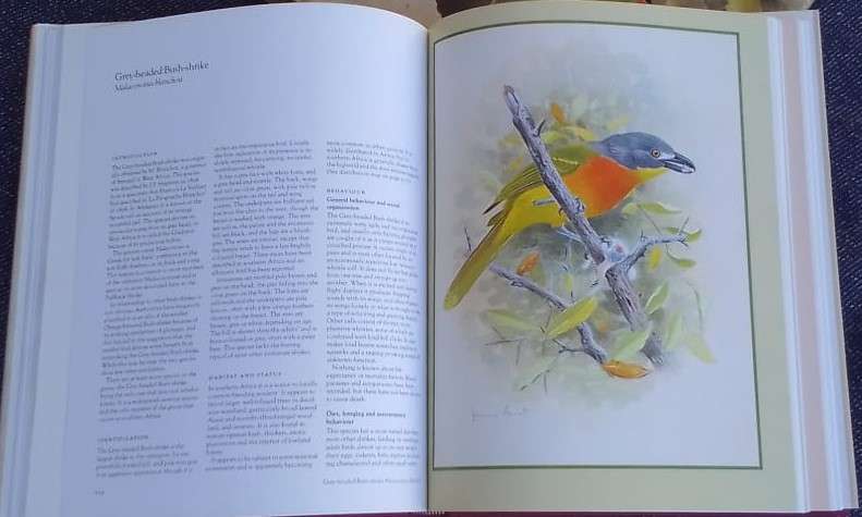 SHRIKES OF SOUTHERN AFRICA, 1988 - 224-page volume. - PLEASE READ DESCRIPTION.