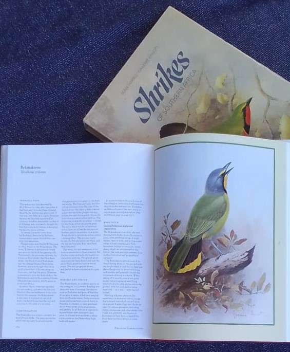 SHRIKES OF SOUTHERN AFRICA, 1988 - 224-page volume. - PLEASE READ DESCRIPTION.