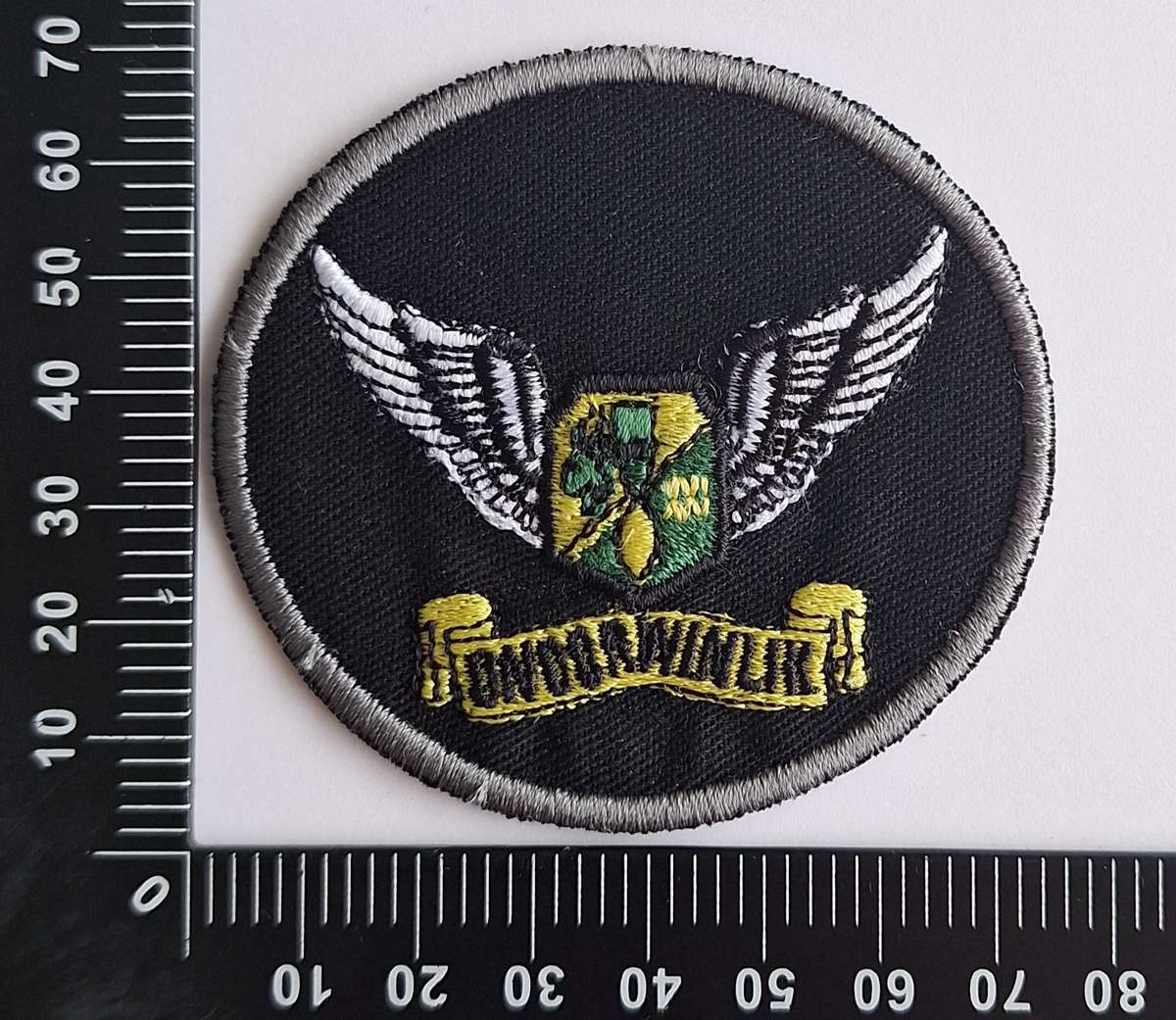 Unofficial SAAF 21 Squadron Patch