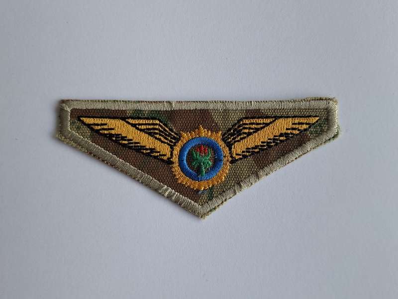 South African Police Air Wing Pilot Wing Camo
