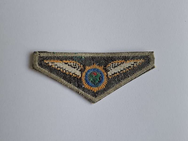 South African Police Air Wing Pilot Wing Camo