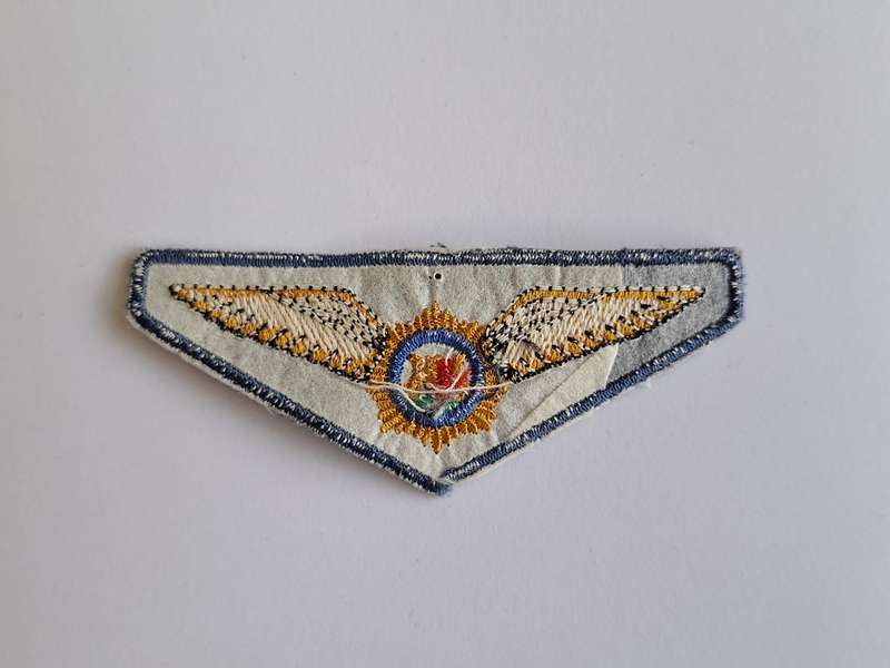 South African Police Air Wing Pilot Wing