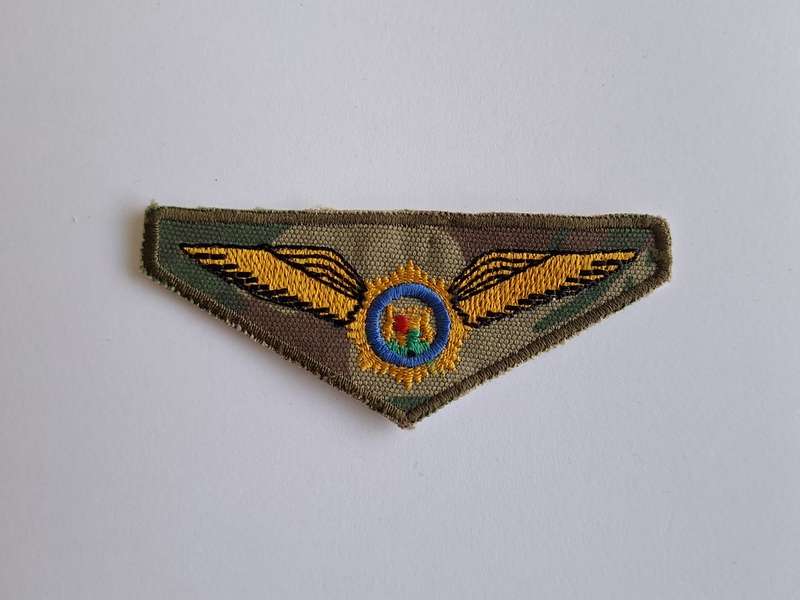 South African Police Air Wing Pilot Wing Camo