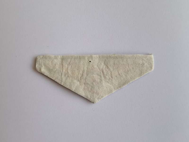 South African Police Air Wing Pilot Wing Camo