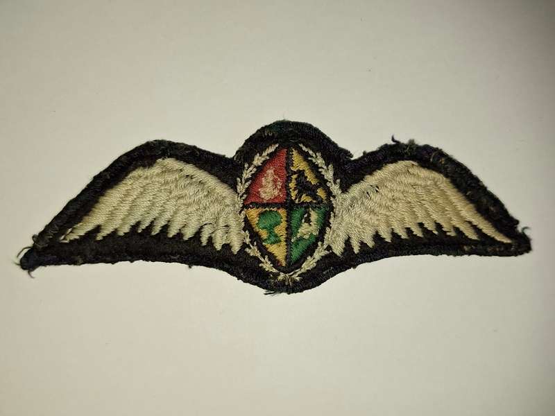 SAAF Pilot Wing