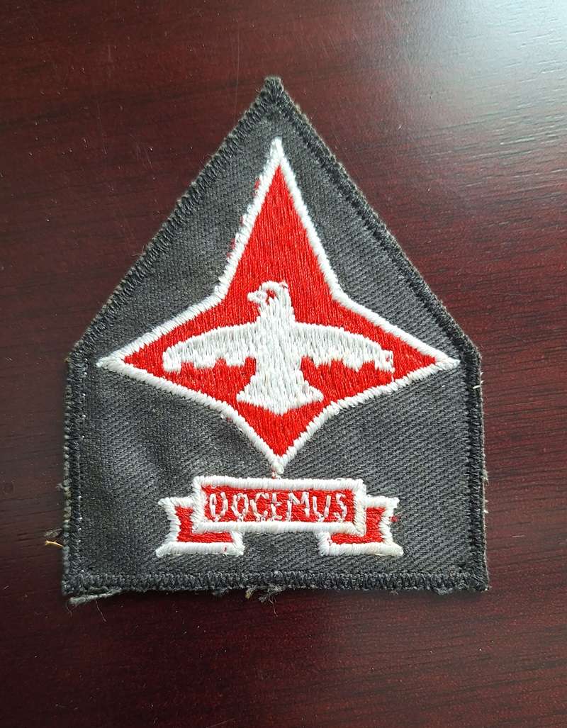 SAAF 87 Advanced Flying School Patch