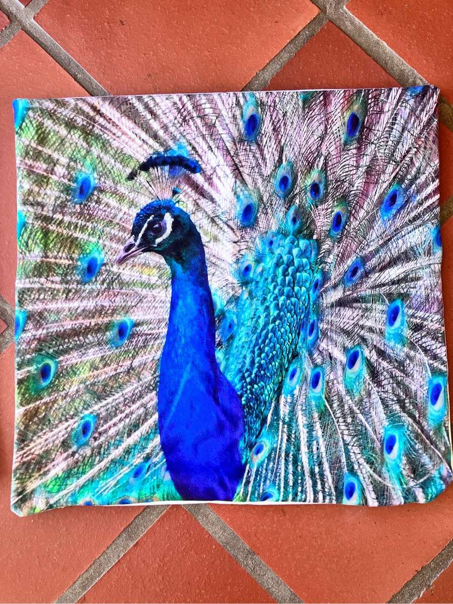 5 peacock cushion covers