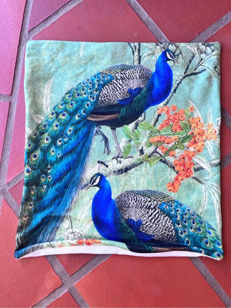 5 peacock cushion covers