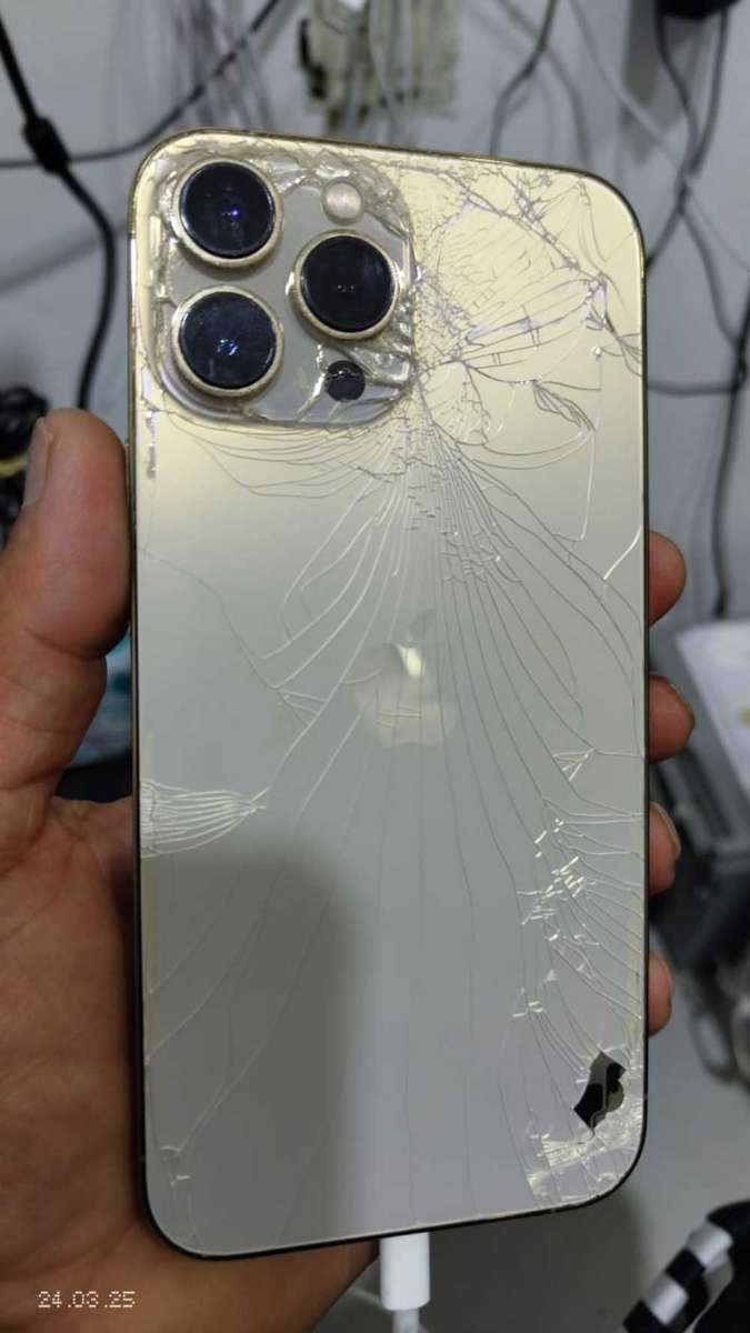 iPhone cellvage devices 11 pro max and 13 pro max