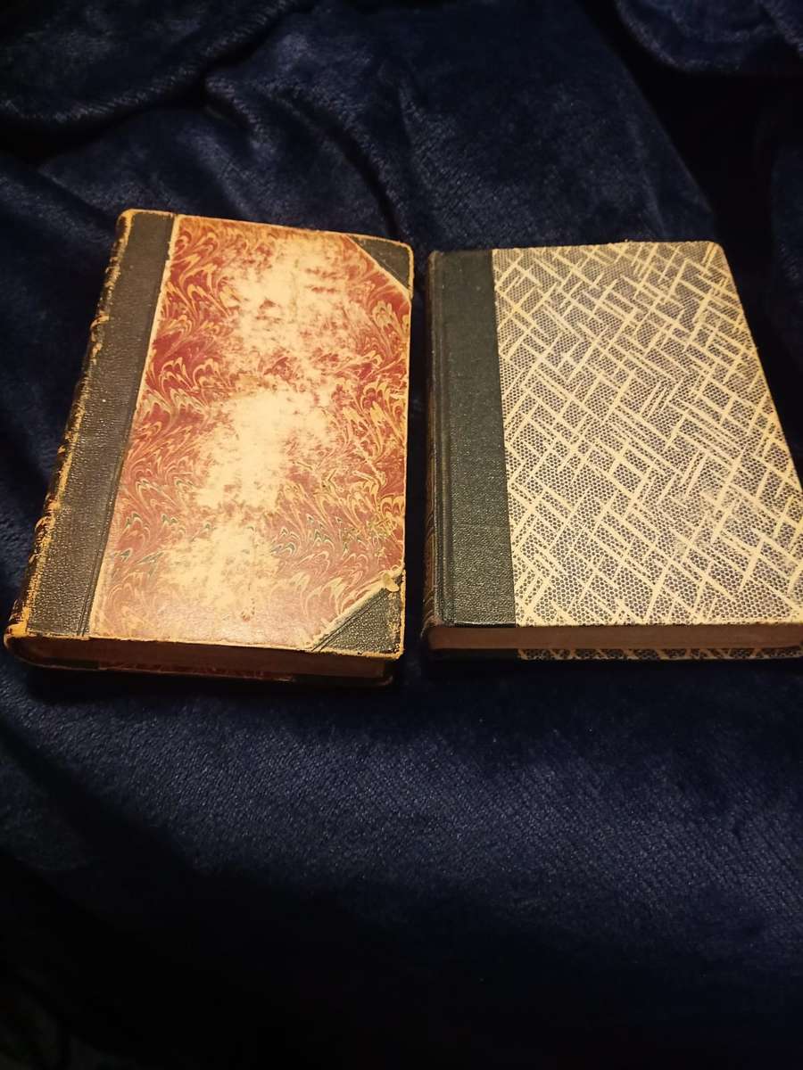 2x Vintage BOOKS WRITINGS OF JOHN RUSKIN 1864 AND THE HOUSE OF THE SEVEN GABLES  NATHANIEL HAWTHORNE