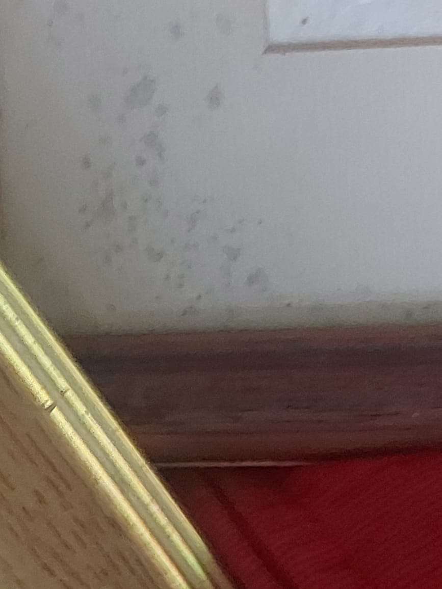 Three paintings, one oil and two watercolours.