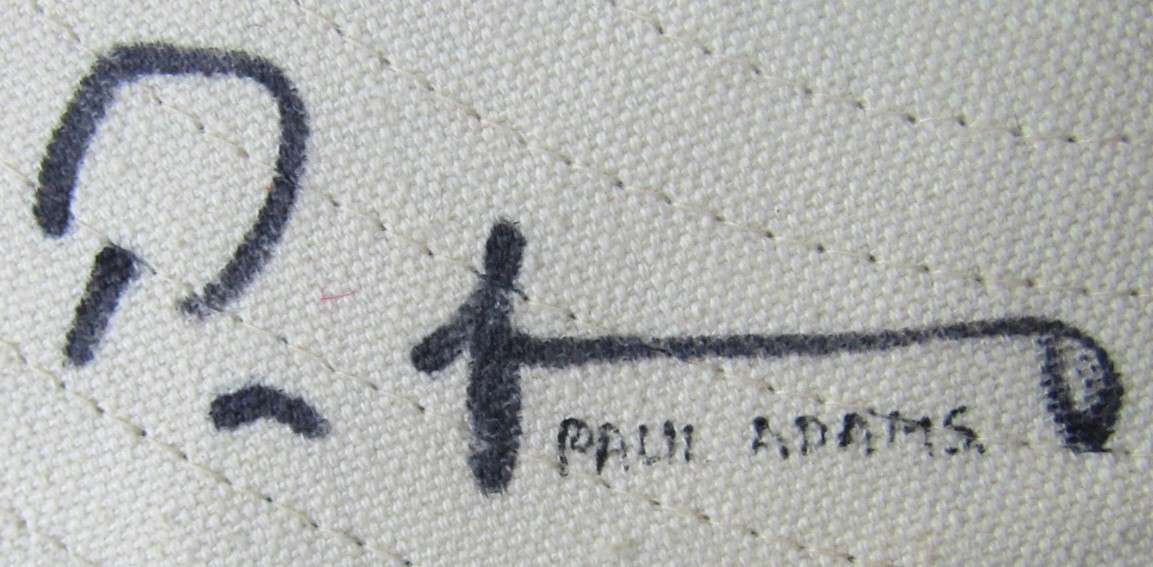 Old Signed SA Proteas Cricket Hat