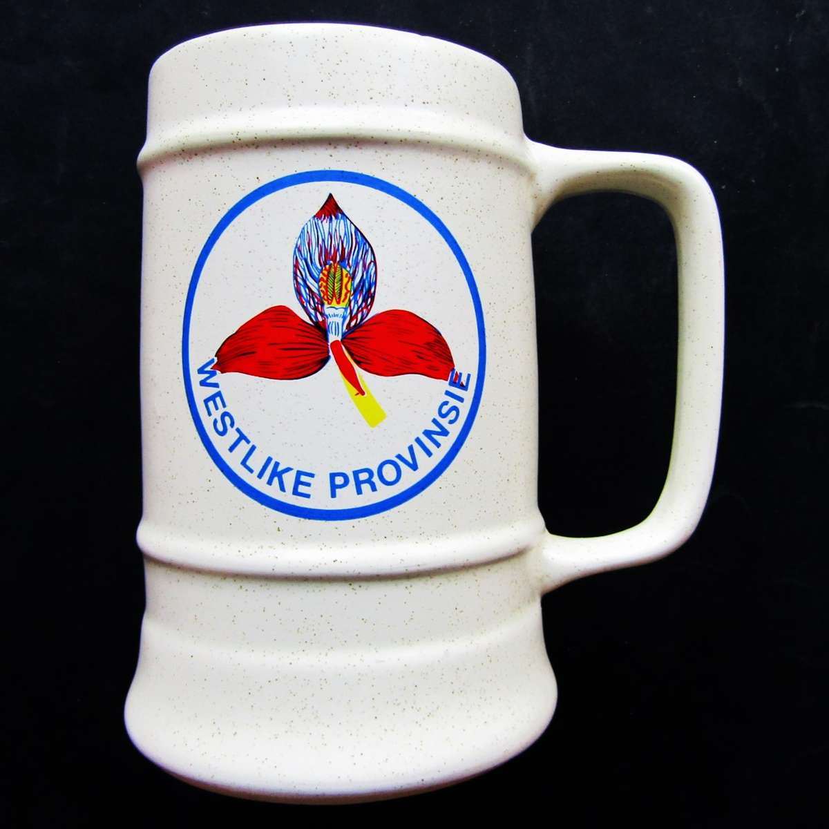 Old WP Western Province Rugby Beer Mug