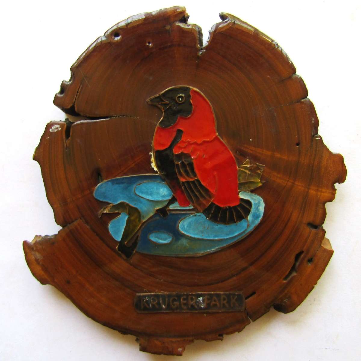 Old Kruger Park Bird Wall Plaque