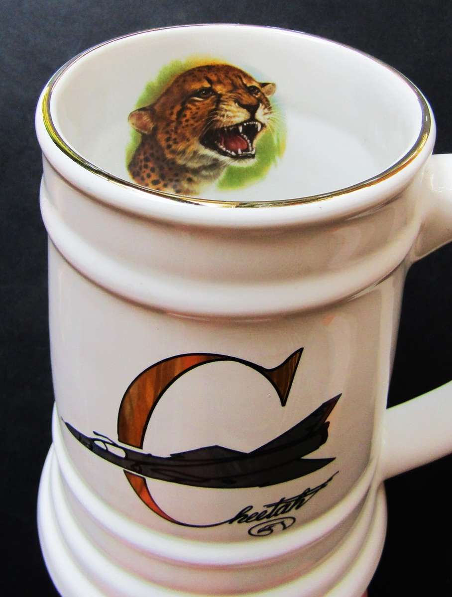 SAAF Cheetah Aircraft Beer Mug
