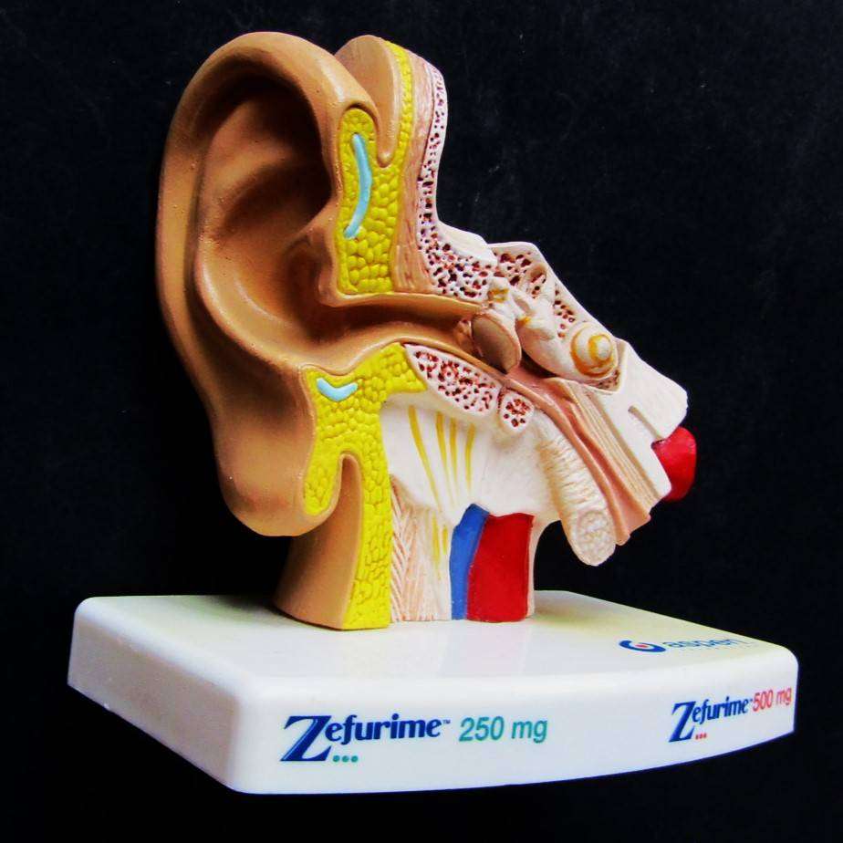 Aspen Zefurime Medical Pharmaceutical Advertising Display