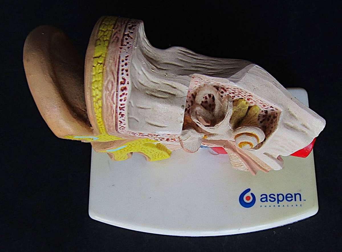 Aspen Zefurime Medical Pharmaceutical Advertising Display