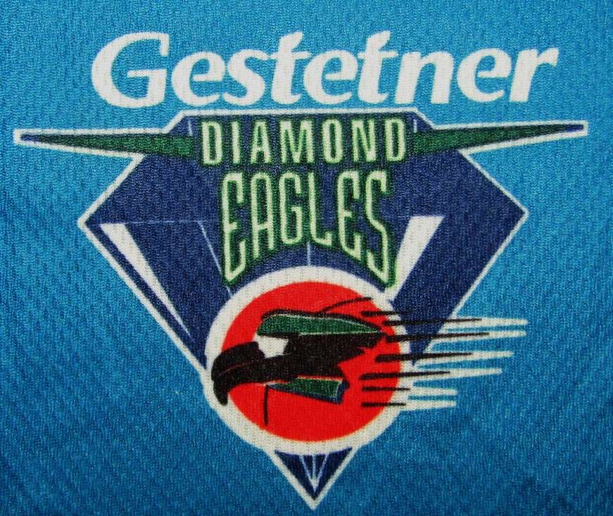 Old Diamond Eagles Pro 20 Cricket Jersey