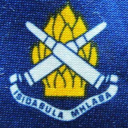 SADF Ammunition Corps Neck Tie