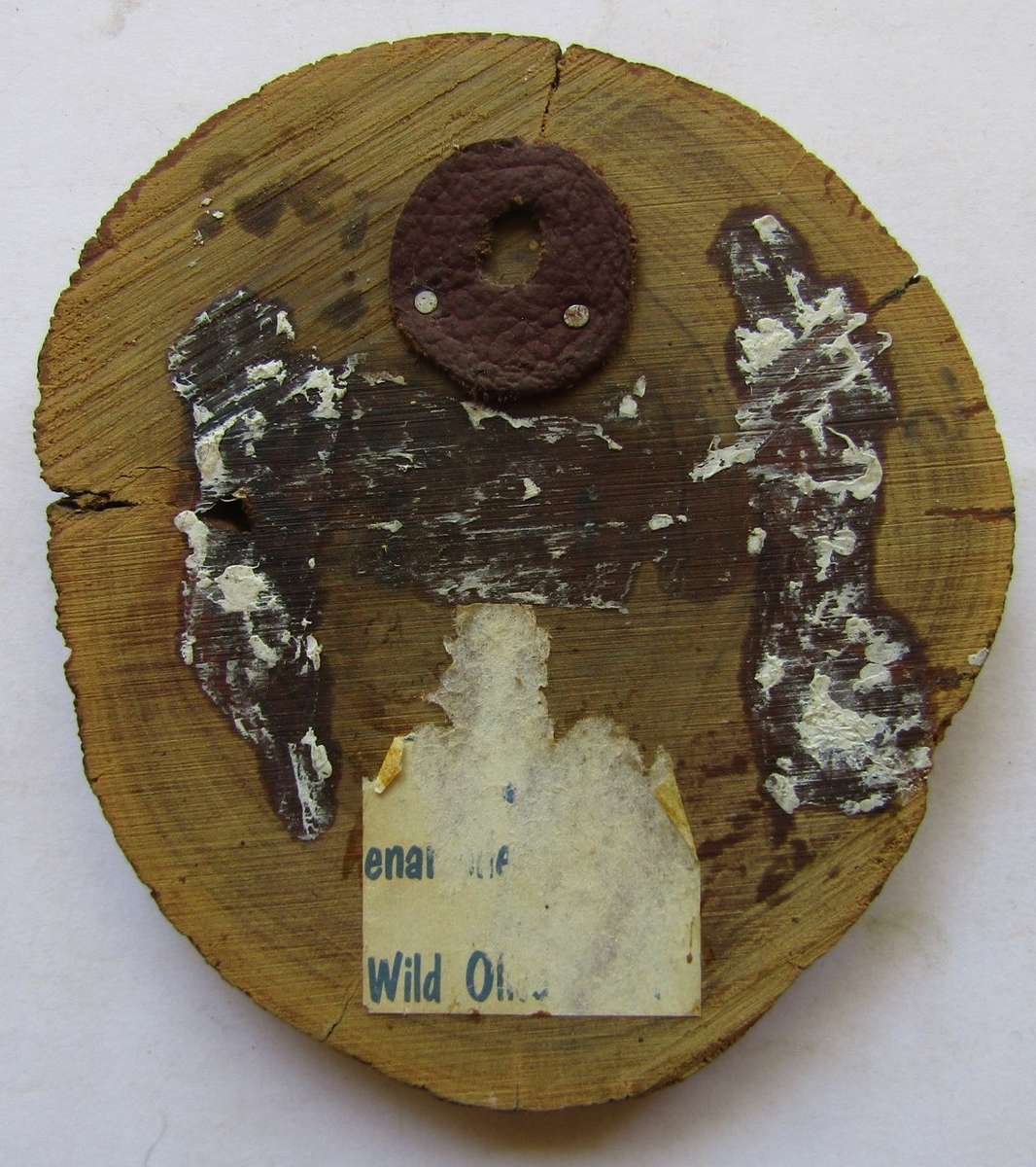 Old Kruger Park Bird Wall Plaque