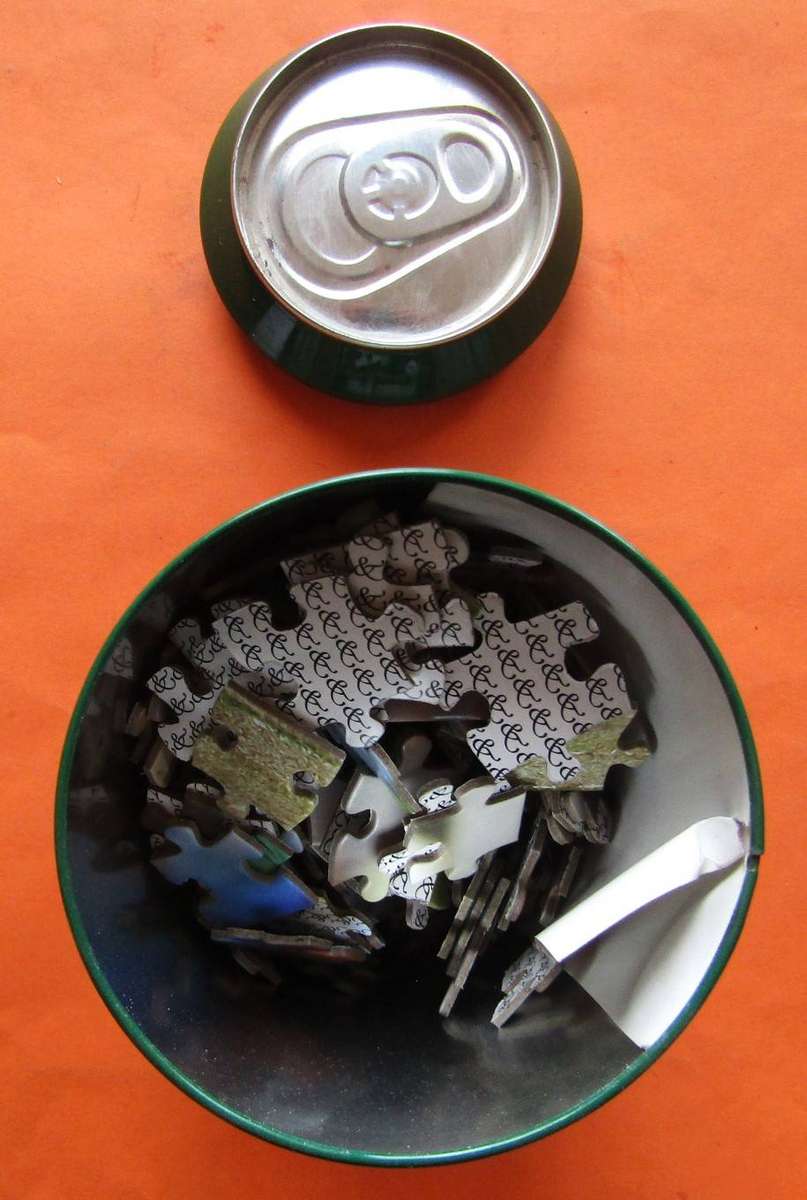 Old Jacques Kallis SA Cricket Fan Can