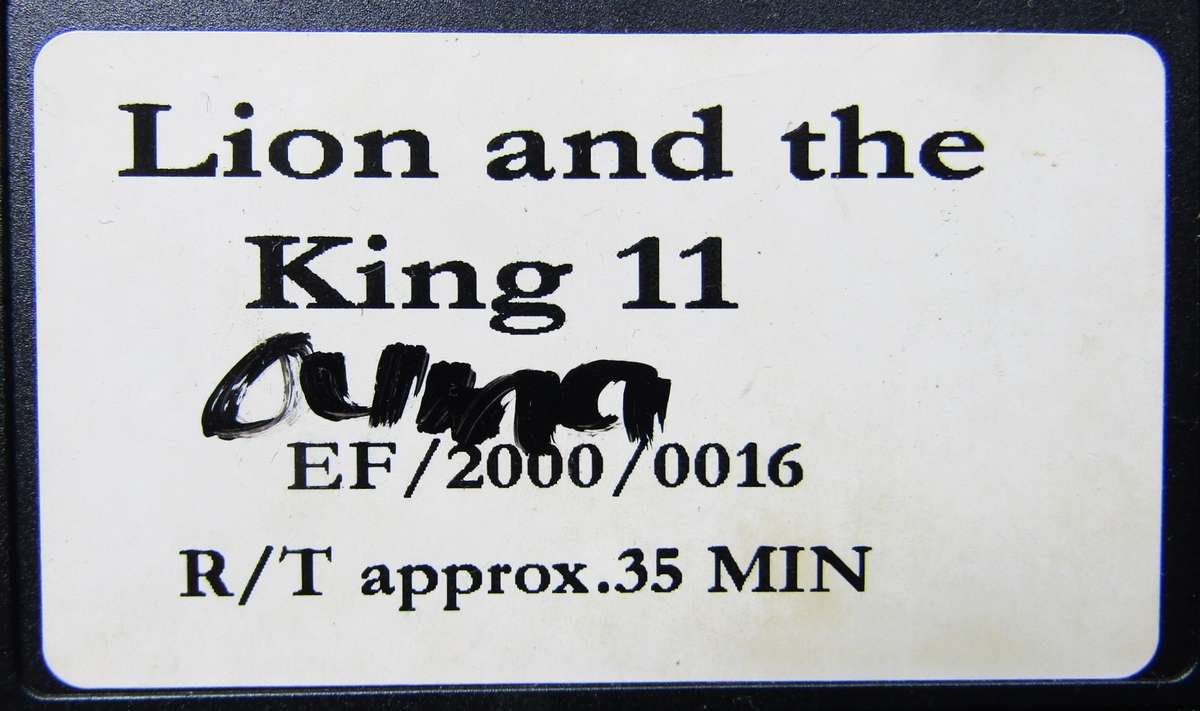 Lion and the King II - VHS Video Tape (2000)