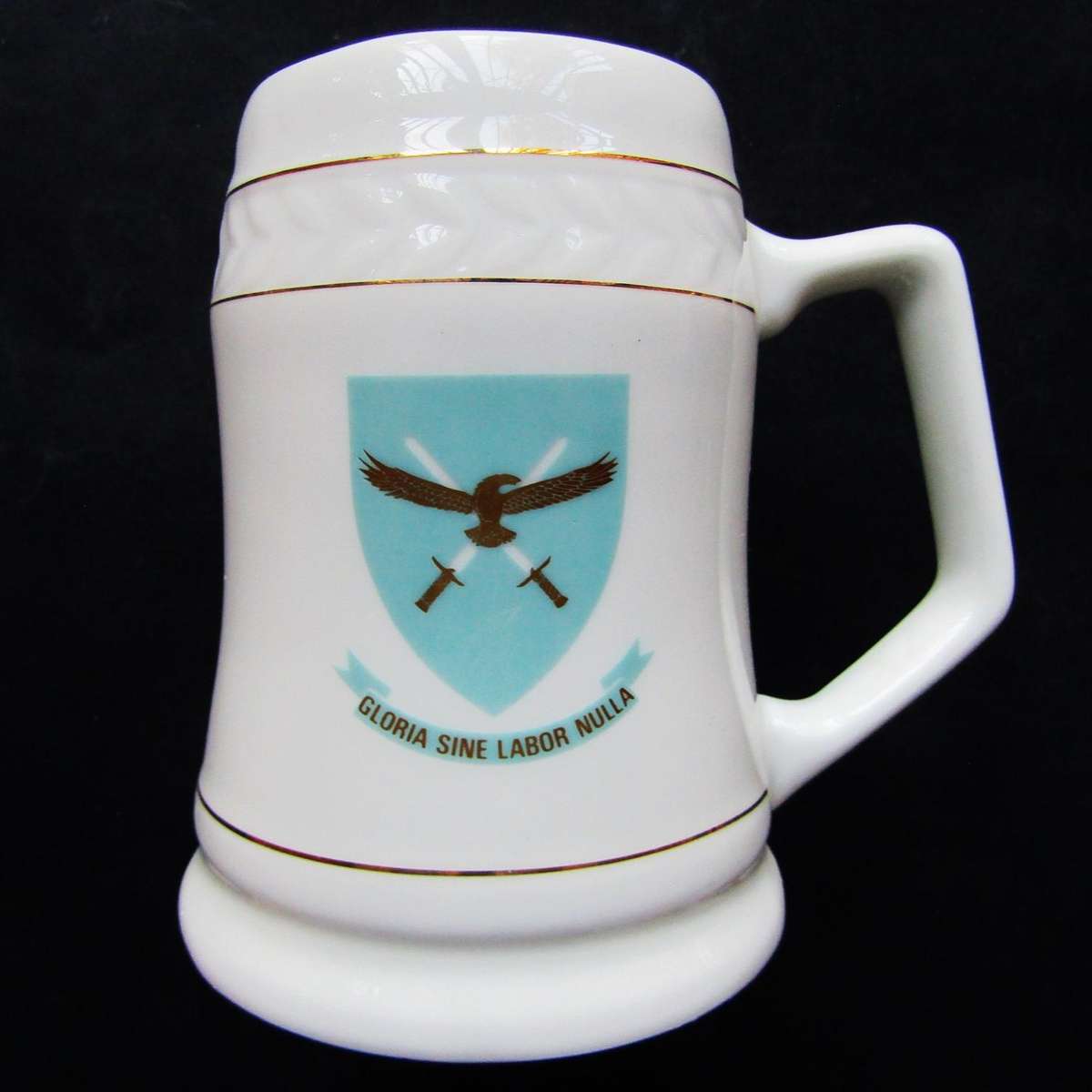 Old SAAF Headquarters Beer Mug