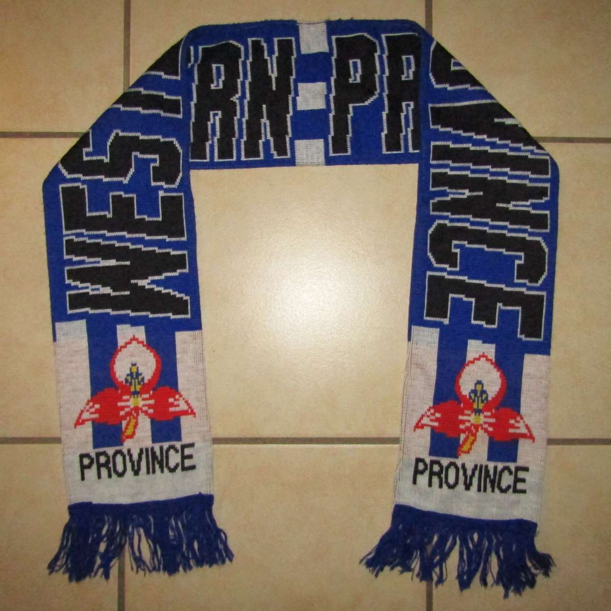 Old WP Western Province Rugby Supporter Scarf