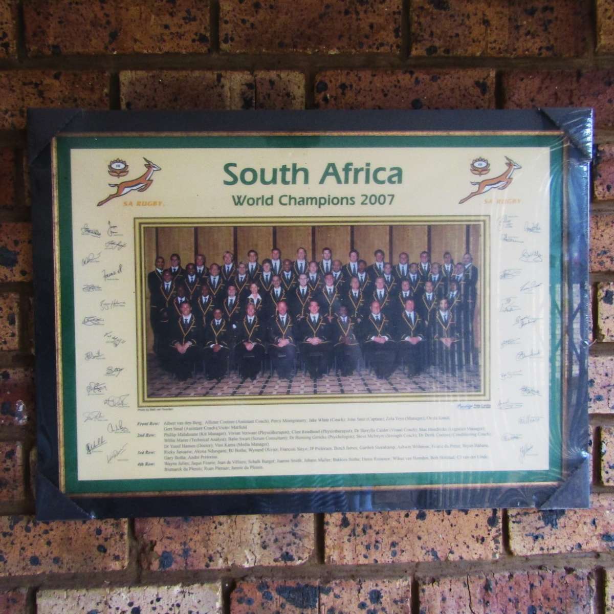 New Sealed - 2007 World Champions Springbok Rugby Display