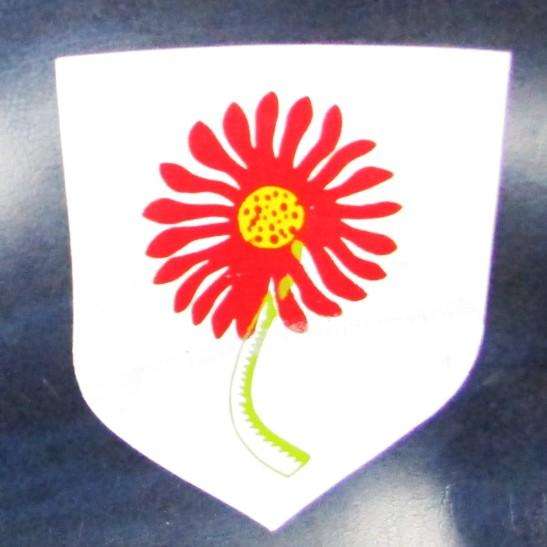 Old Adidas Noord Transvaal Rugby Kit Bag