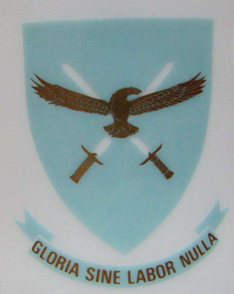 Old SAAF Headquarters Beer Mug