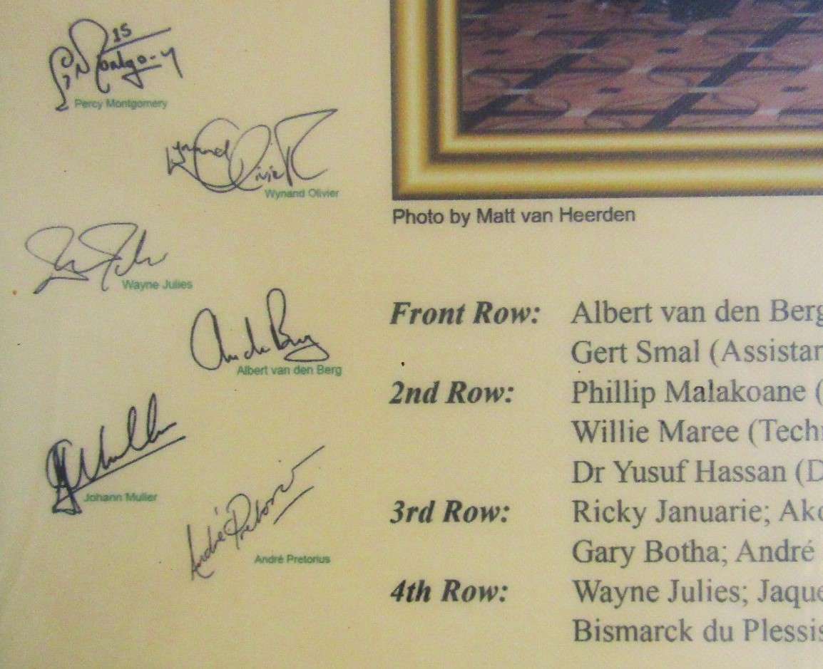 New Sealed - 2007 World Champions Springbok Rugby Display