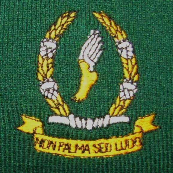 Old SA Prison Service Pullover Jersey