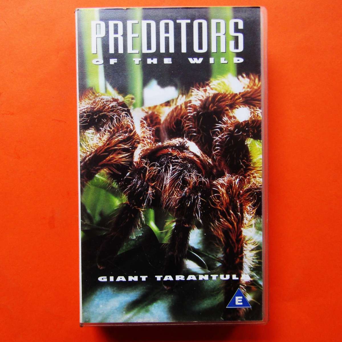 Giant Tarantula - Predators of the Wild - VHS Video Tape (1995)