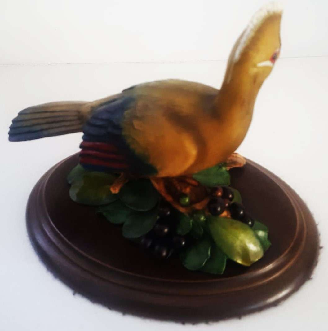 Vintage Knysna Loerie Bird Figure by Feathers of Knysna
