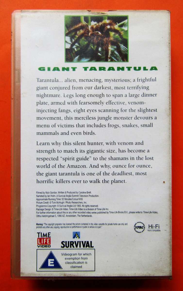 Giant Tarantula - Predators of the Wild - VHS Video Tape (1995)