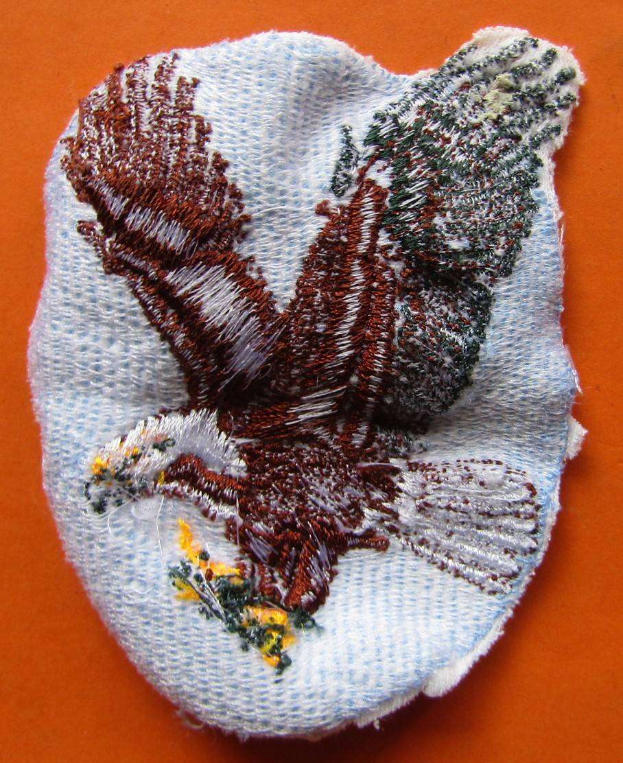 Old SAAF ? Patch Badge
