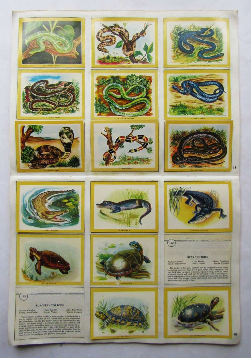 1972 Large Naturama Flowers, Animals and African Tribes Sticker Card Album