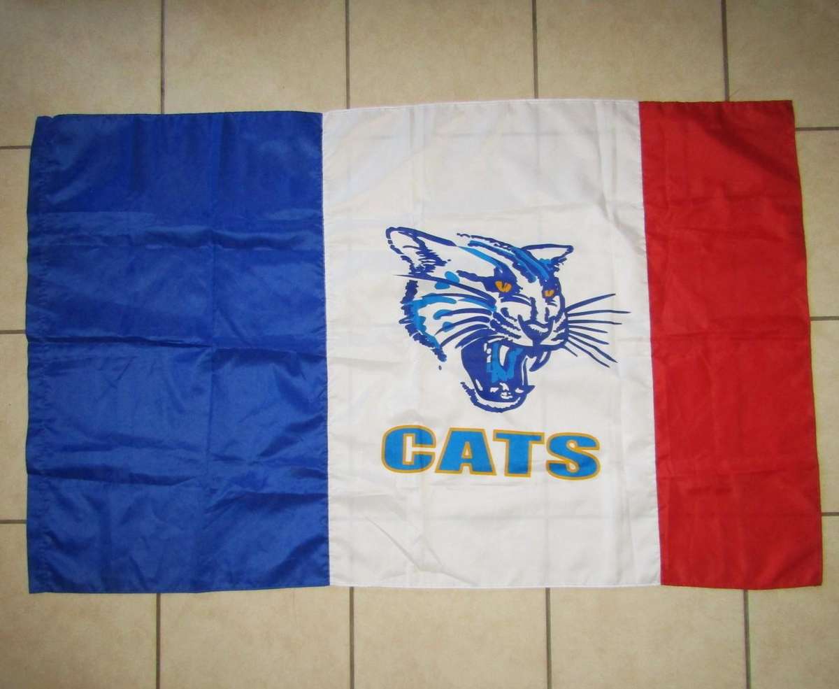 Large Cats Super 12 Rugby Flag