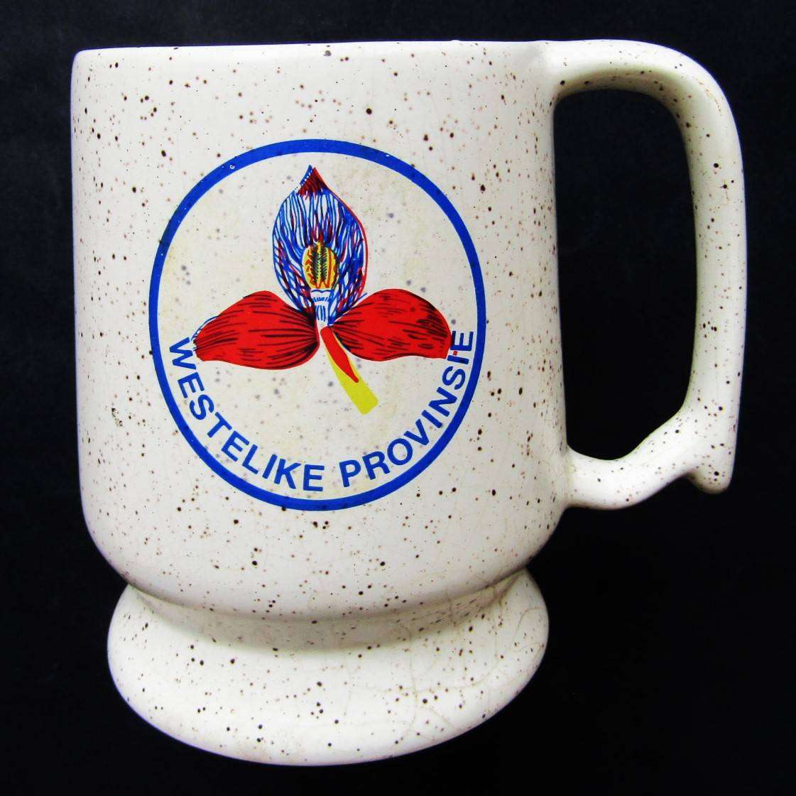 Old WP Western Province Rugby Beer Mug
