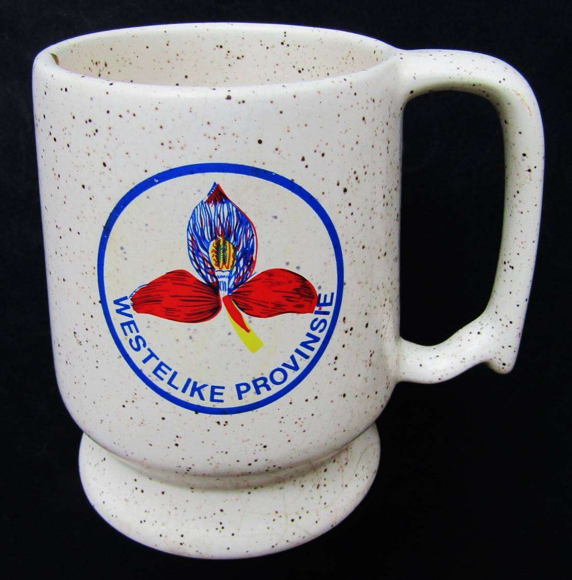Old WP Western Province Rugby Beer Mug