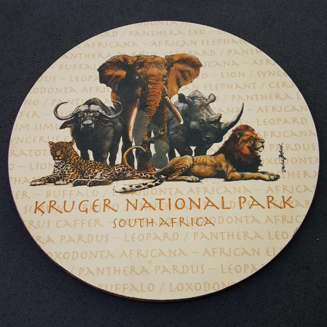 Old Kruger National Park Wooden Plaque