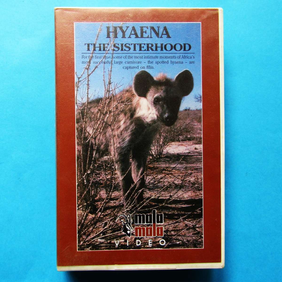 Hyaena - The Sisterhood - VHS Video Tape (1992)