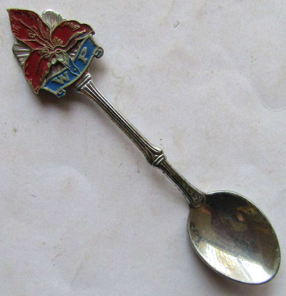 Old WP Western Province Rugby Crested Spoon