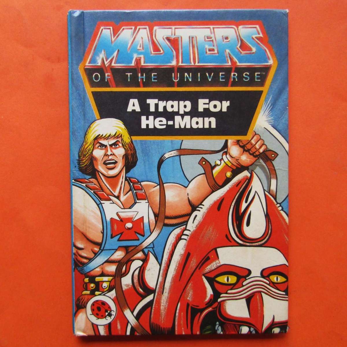 1983 He-Man Masters of the Universe - Hardcover Book